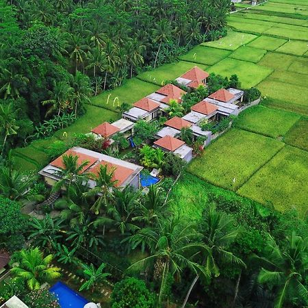 Asri Sari Ubud Villa & Resort ภายนอก รูปภาพ